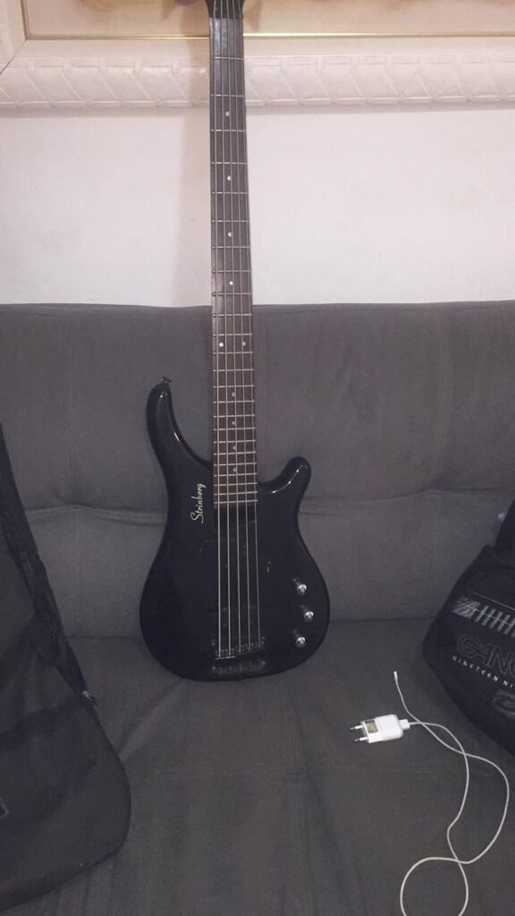 Baixo Striberg 5 Cordas com Case