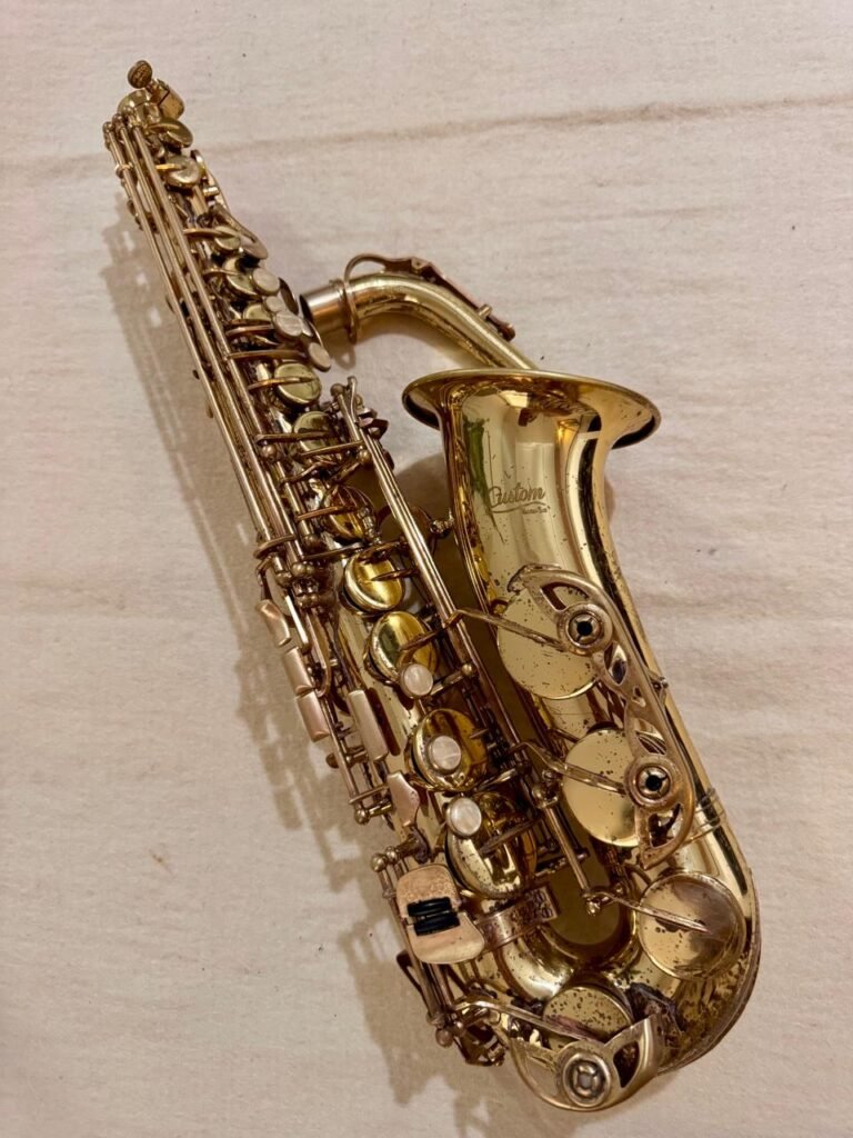 Saxofone Alto Custom – Completo