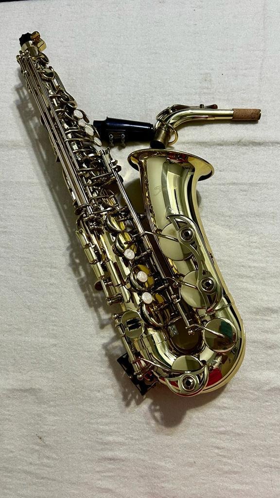 Saxofone Alto Shelter