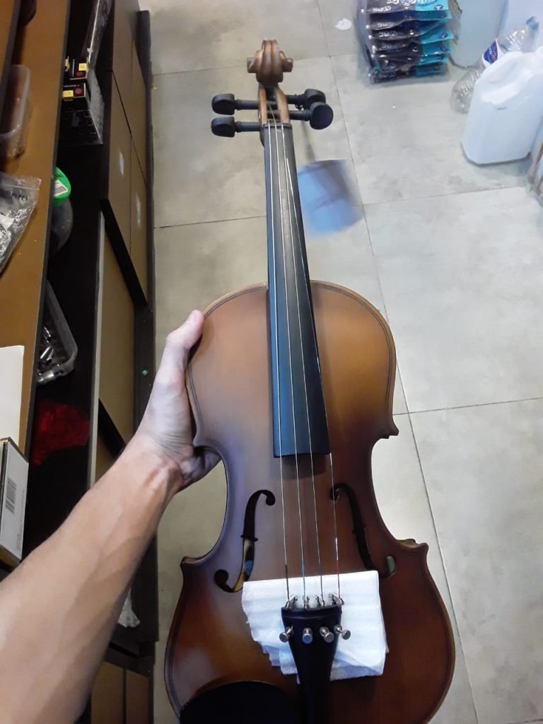 Violino Novo com Case